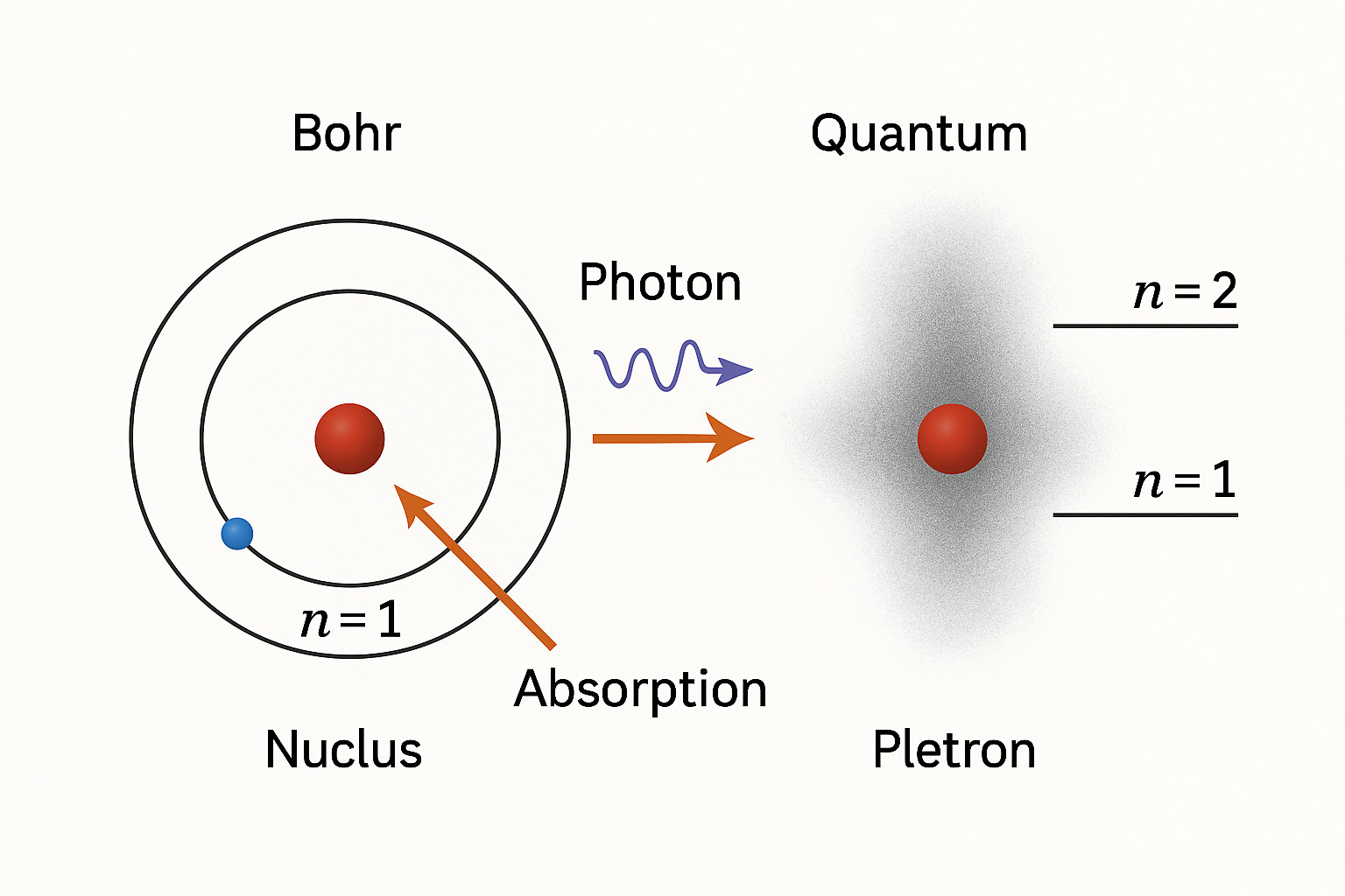 Comparación: órbitas de Bohr vs nubes de probabilidad (1s y 2s).